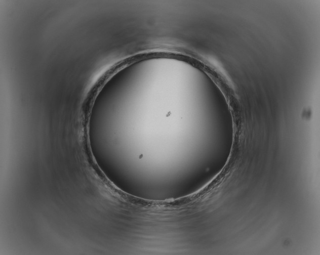 X0000091061360200708201335