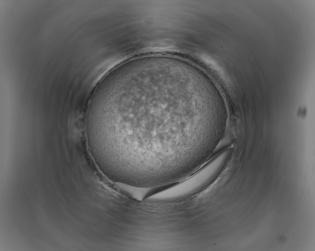 X0000091061361200708201335