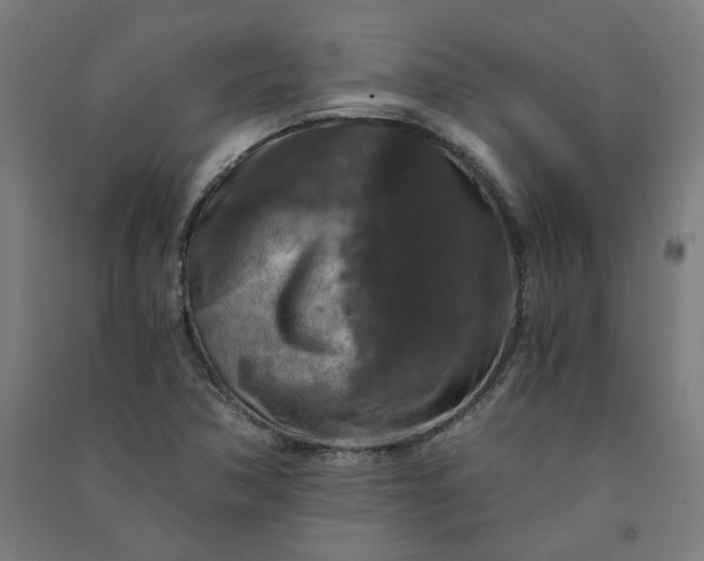X0000091061362200708201335