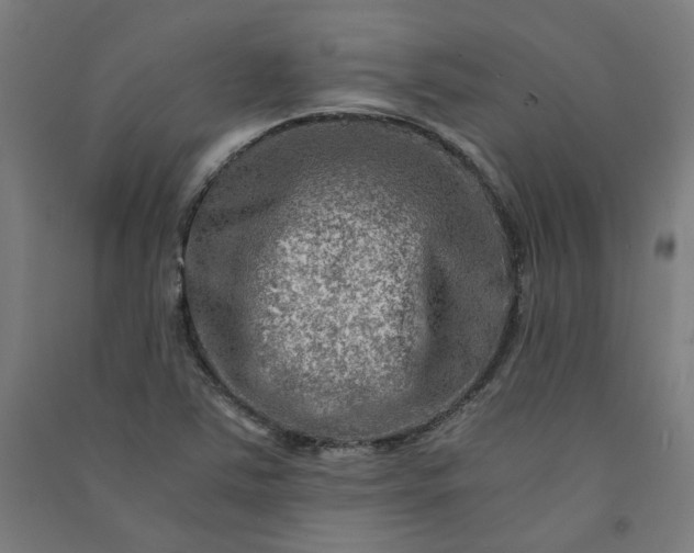 X0000091061363200708201335