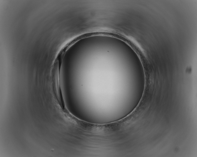 X0000091061364200708201335