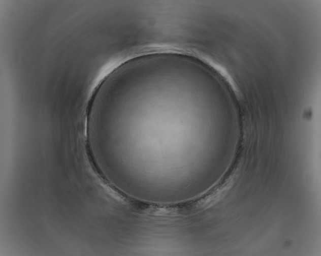 X0000091061365200708201335