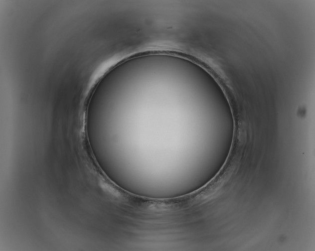 X0000091061366200708201335