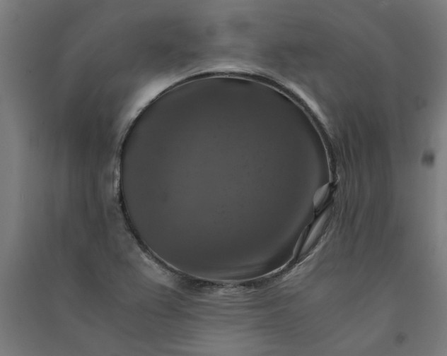 X0000091061367200708201335