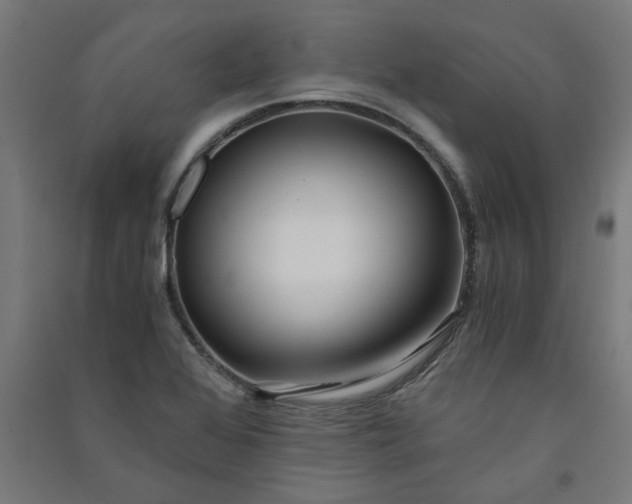 X0000091061368200708201335