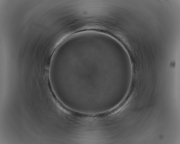 X0000091061369200708201335