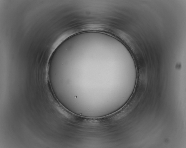 X0000091061370200708201335