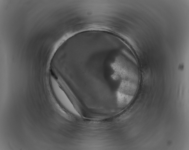 X0000091061371200708201335