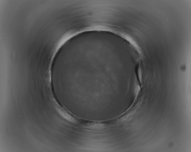 X0000091061372200708201335