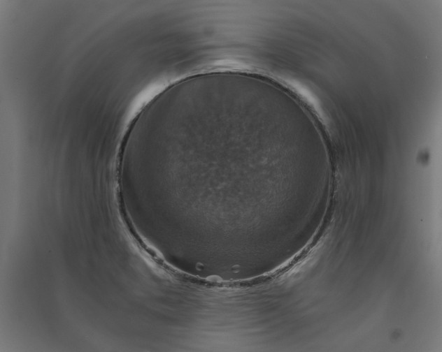X0000091061373200708201335
