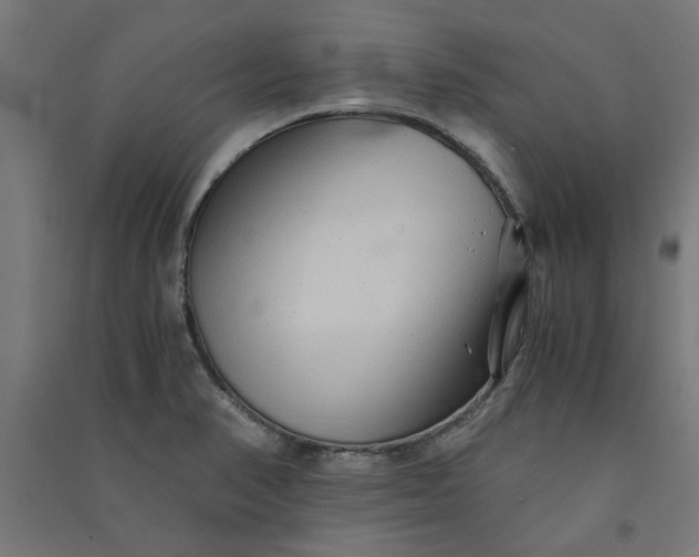 X0000091061374200708201335