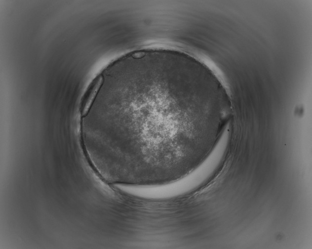 X0000091061376200708201335