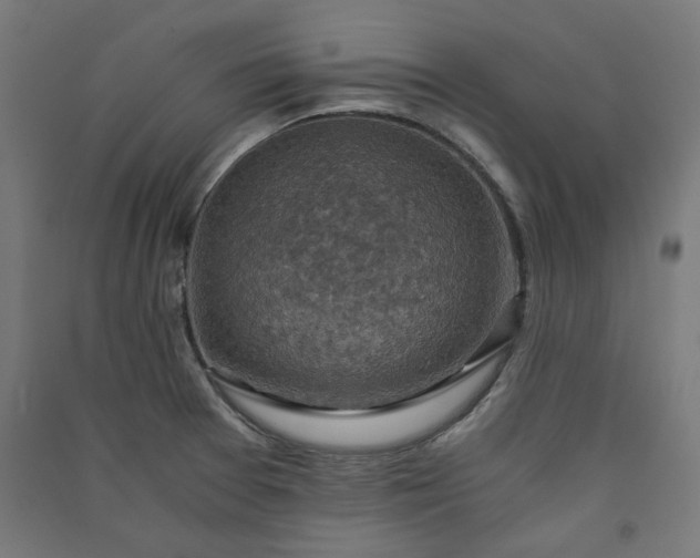 X0000091061377200708201335