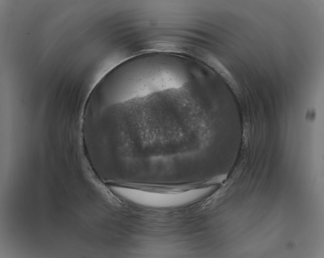 X0000091061378200708201335