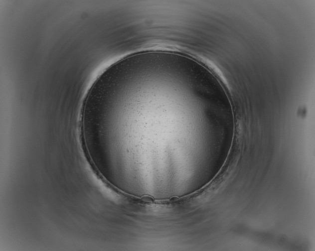 X0000091061379200708201335