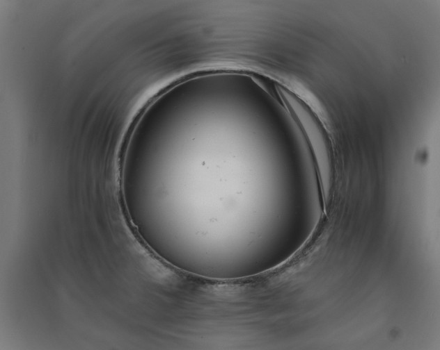 X0000091061380200708201335