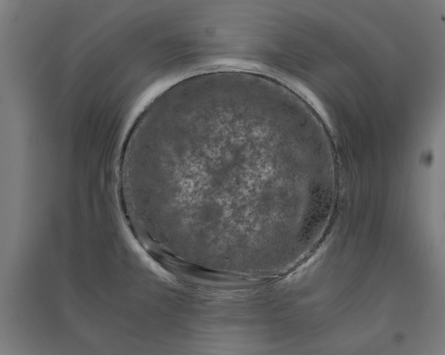 X0000091061381200708201335