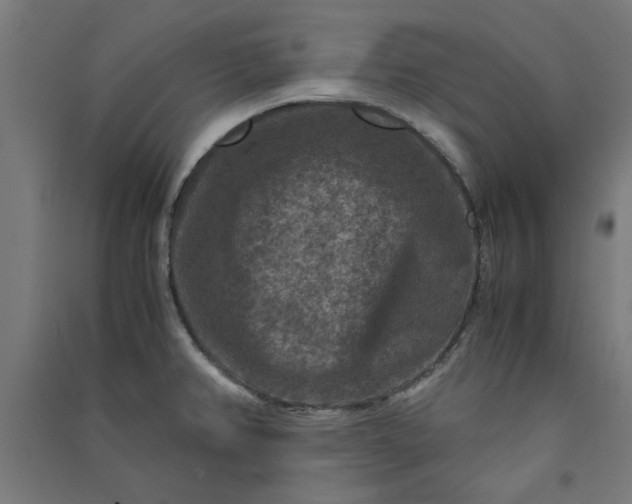 X0000091061382200708201335