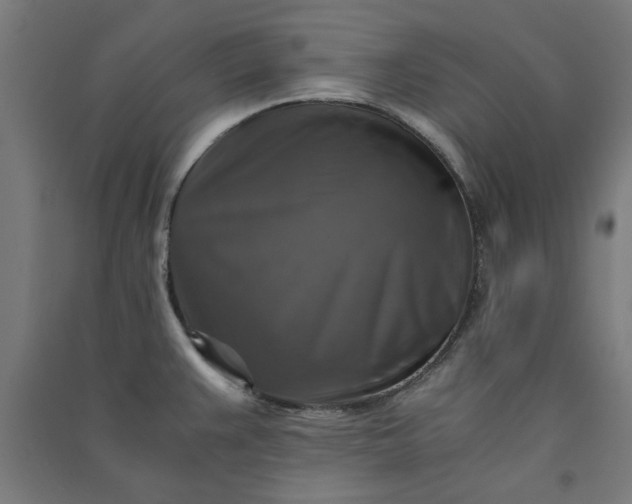 X0000091061383200708201335