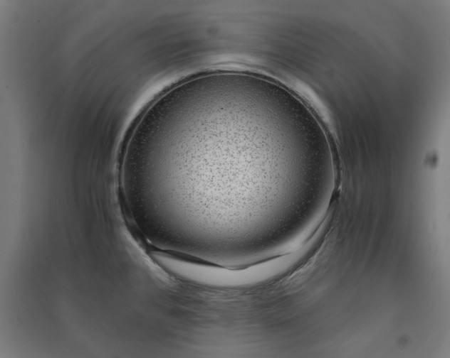 X0000091061384200708201335