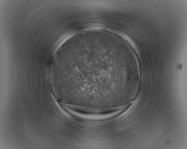 X0000091061385200708201335