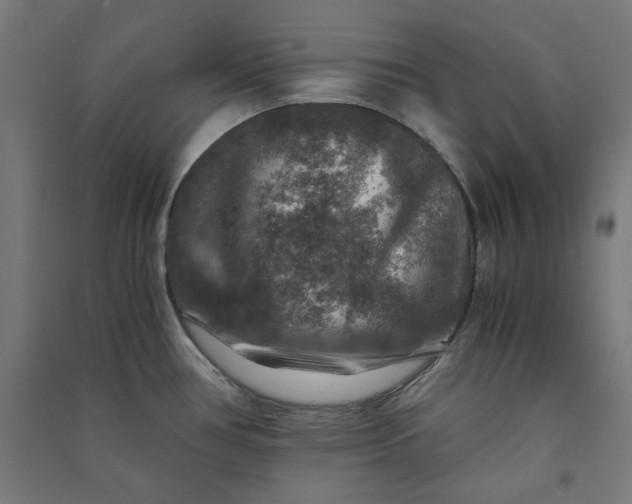 X0000091061386200708201335