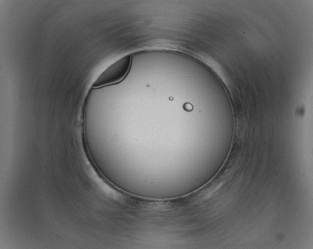 X0000091061387200708201335