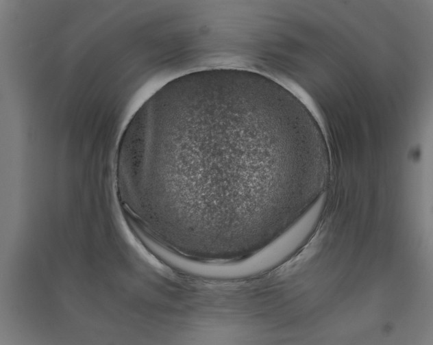 X0000091061389200708201335
