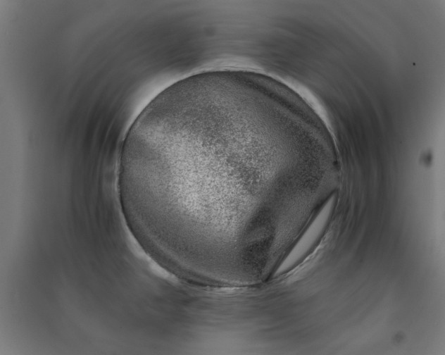 X0000091061390200708201335
