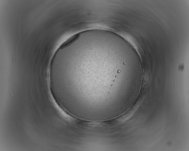 X0000091061391200708201335