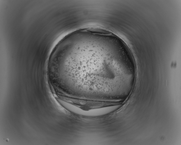 X0000091061392200708201335