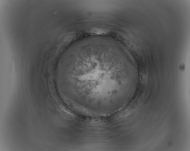 X0000091061393200708201334