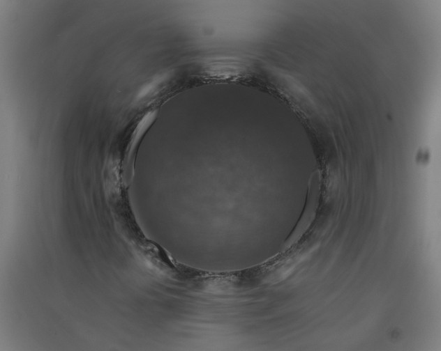 X0000091061394200708201334
