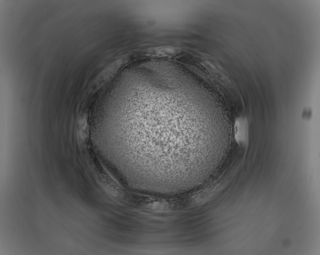 X0000091061395200708201334