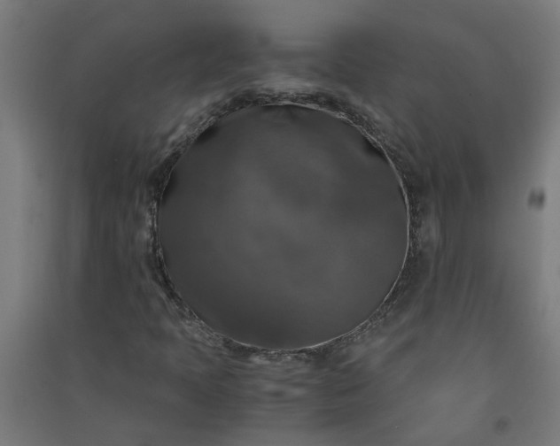 X0000091061397200708201334
