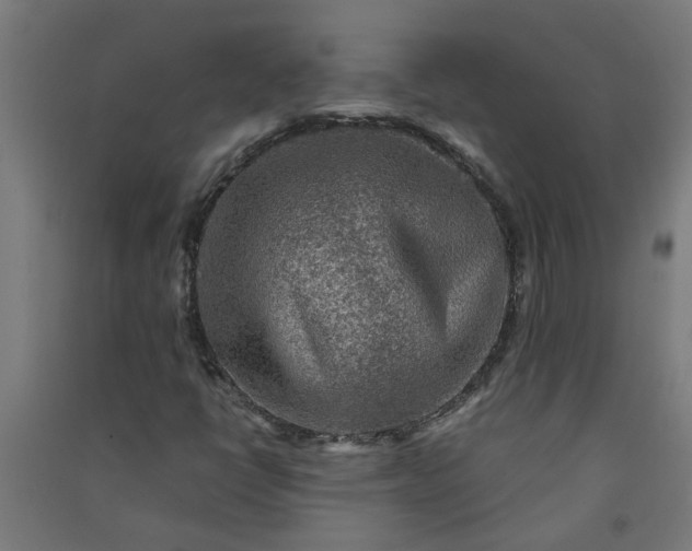 X0000091061398200708201334