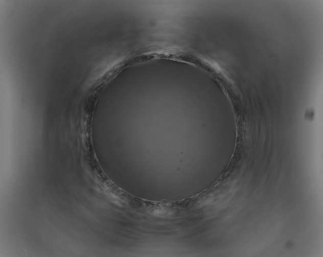 X0000091061399200708201334