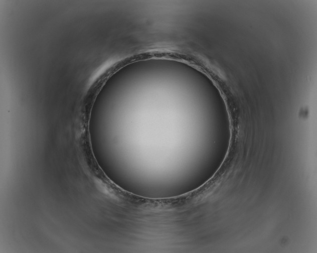 X0000091061400200708201334