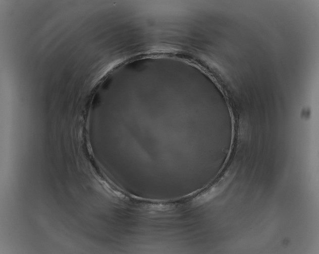 X0000091061401200708201334