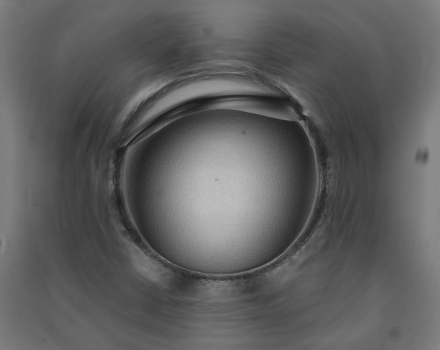 X0000091061402200708201334