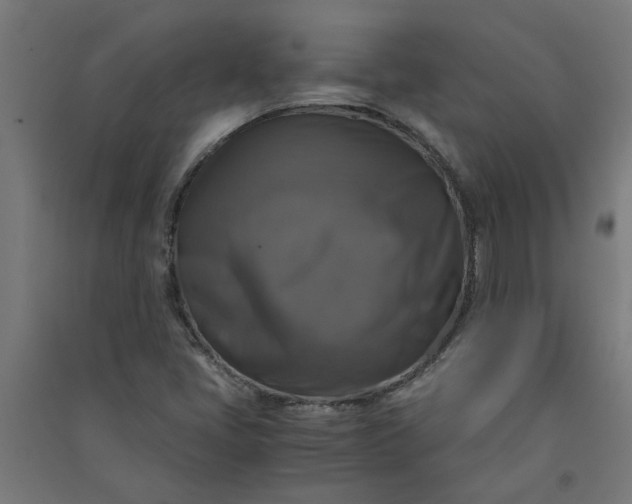X0000091061405200708201334