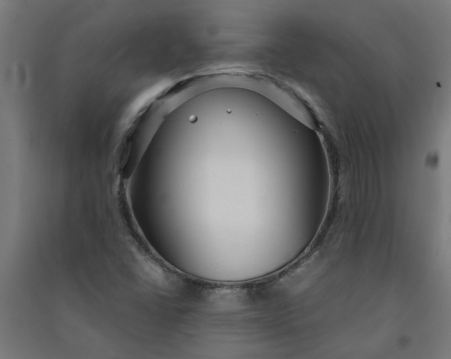 X0000091061406200708201334