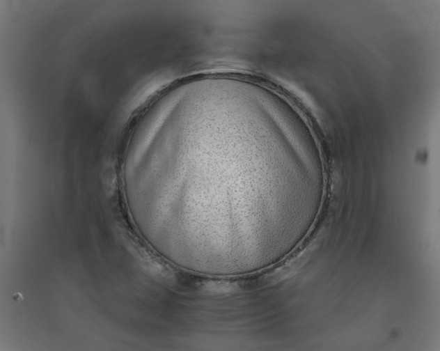 X0000091061407200708201334