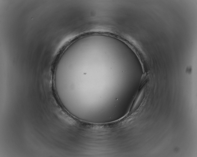 X0000091061408200708201334