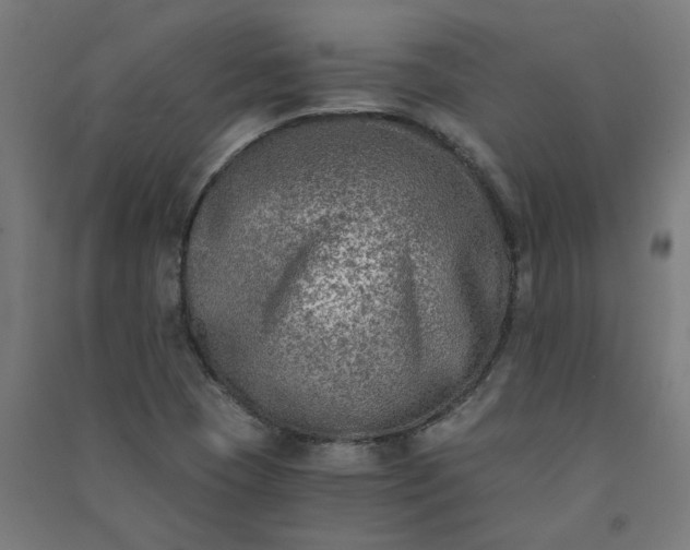 X0000091061409200708201334