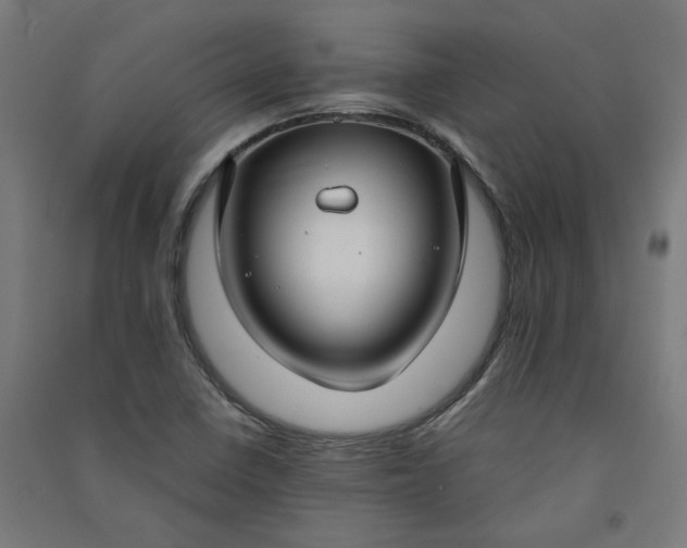 X0000091061410200708201334