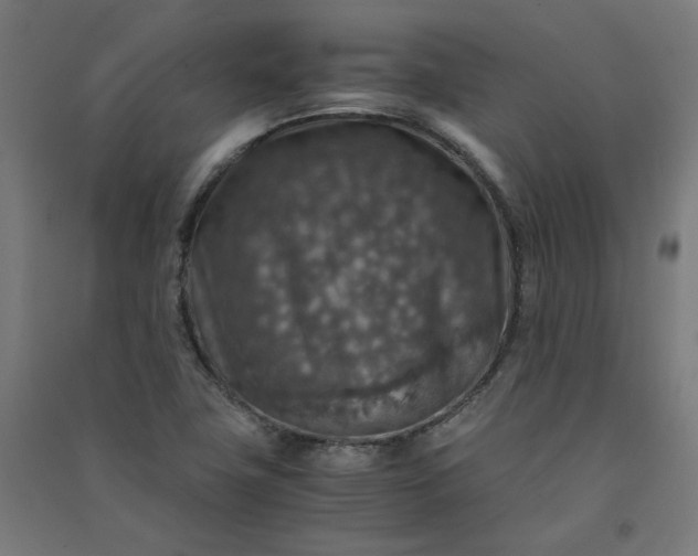 X0000091061411200708201334