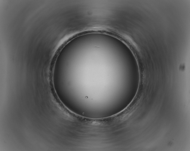 X0000091061412200708201334