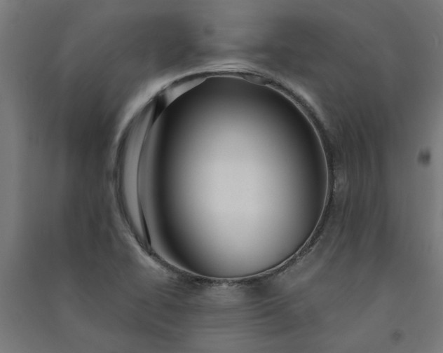 X0000091061414200708201334