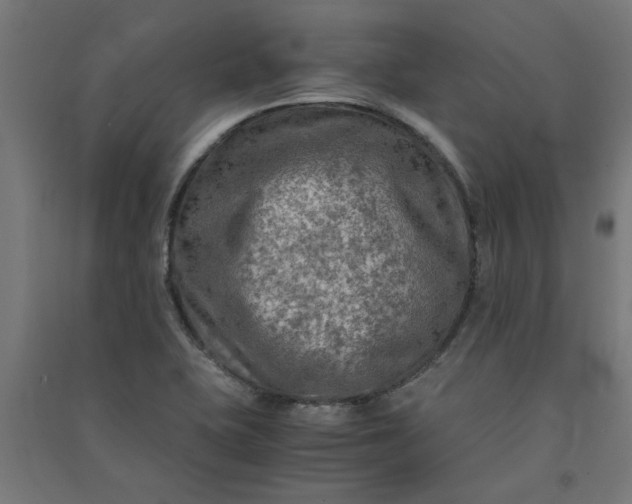 X0000091061415200708201334